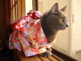 kimono-f5.jpg