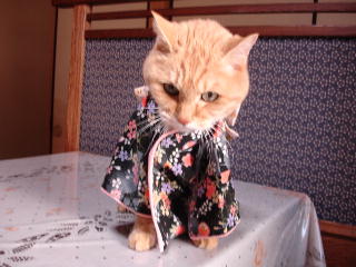 kimono-n2.jpg