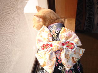 kimono-n3.jpg