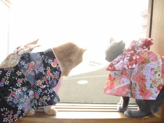 kimono-nf.jpg