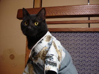 kimonoy1.jpg